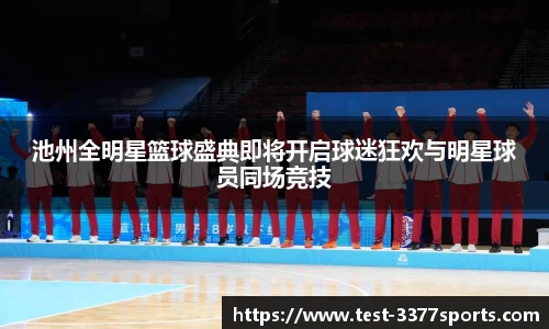 3377官网
